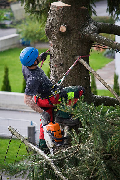 Mulching Services in White Haven, PA